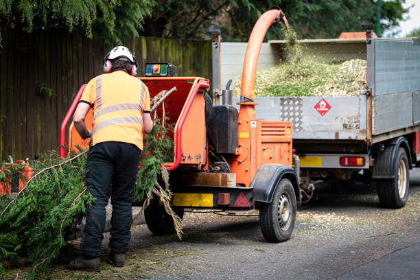 Best Weed Control  in USA